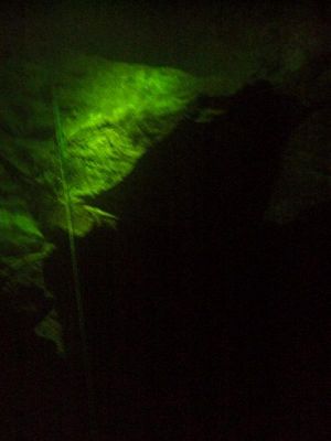 55 - 35 m (480x640)
