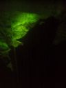 55_-_35_m_28480x64029.jpg