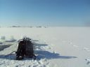 DSC03724_28640x48029.jpg