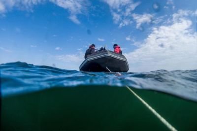 Rib 2019
