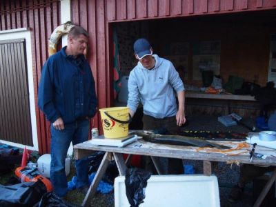 punnitus_jukka_levosen_hauki
