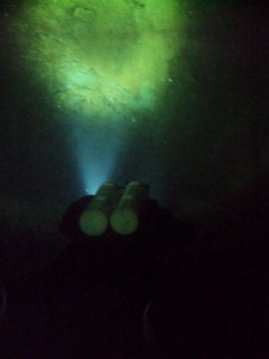 DSC02643 (480x640)
